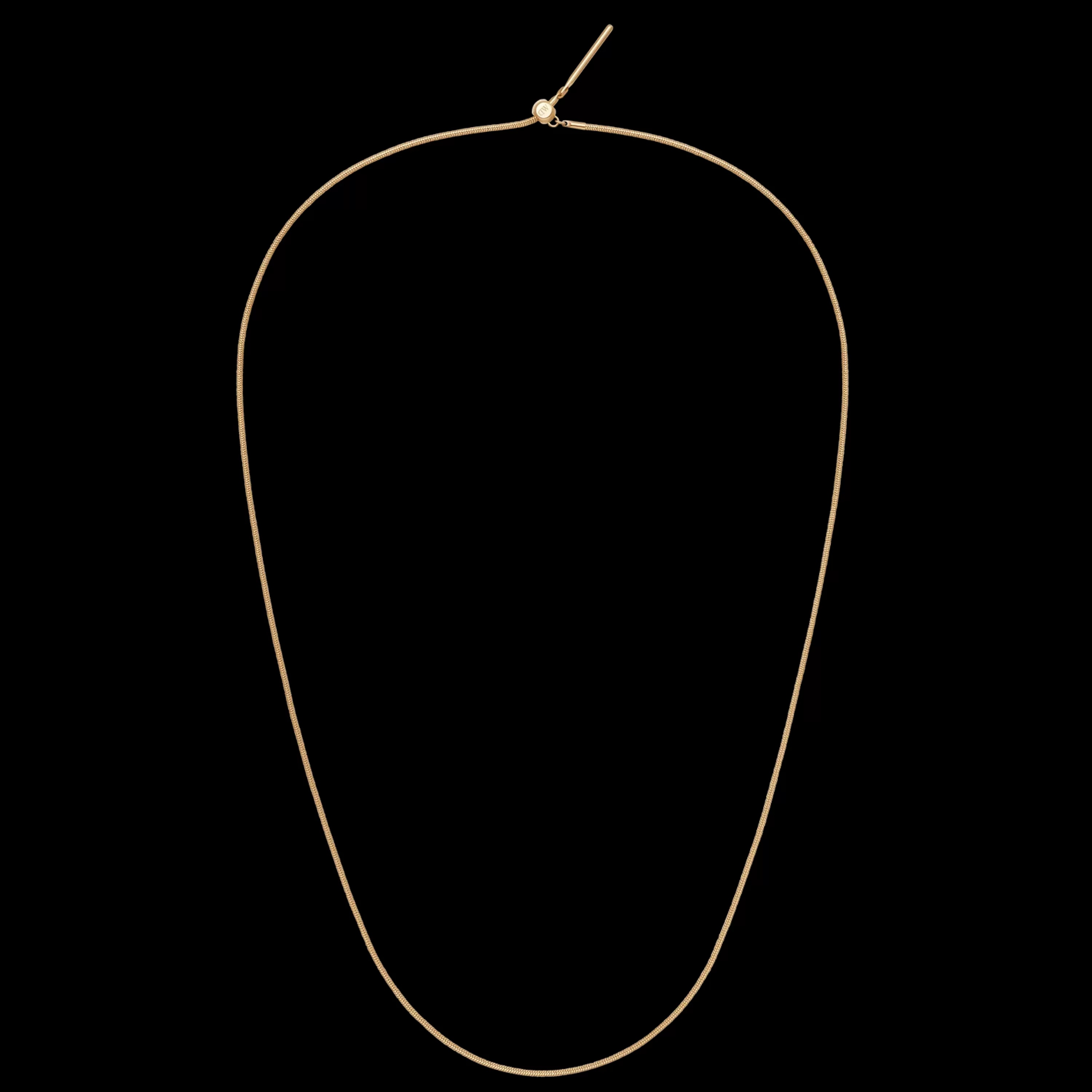 Daniel Wellington Ketten-Charms Snake Necklace G