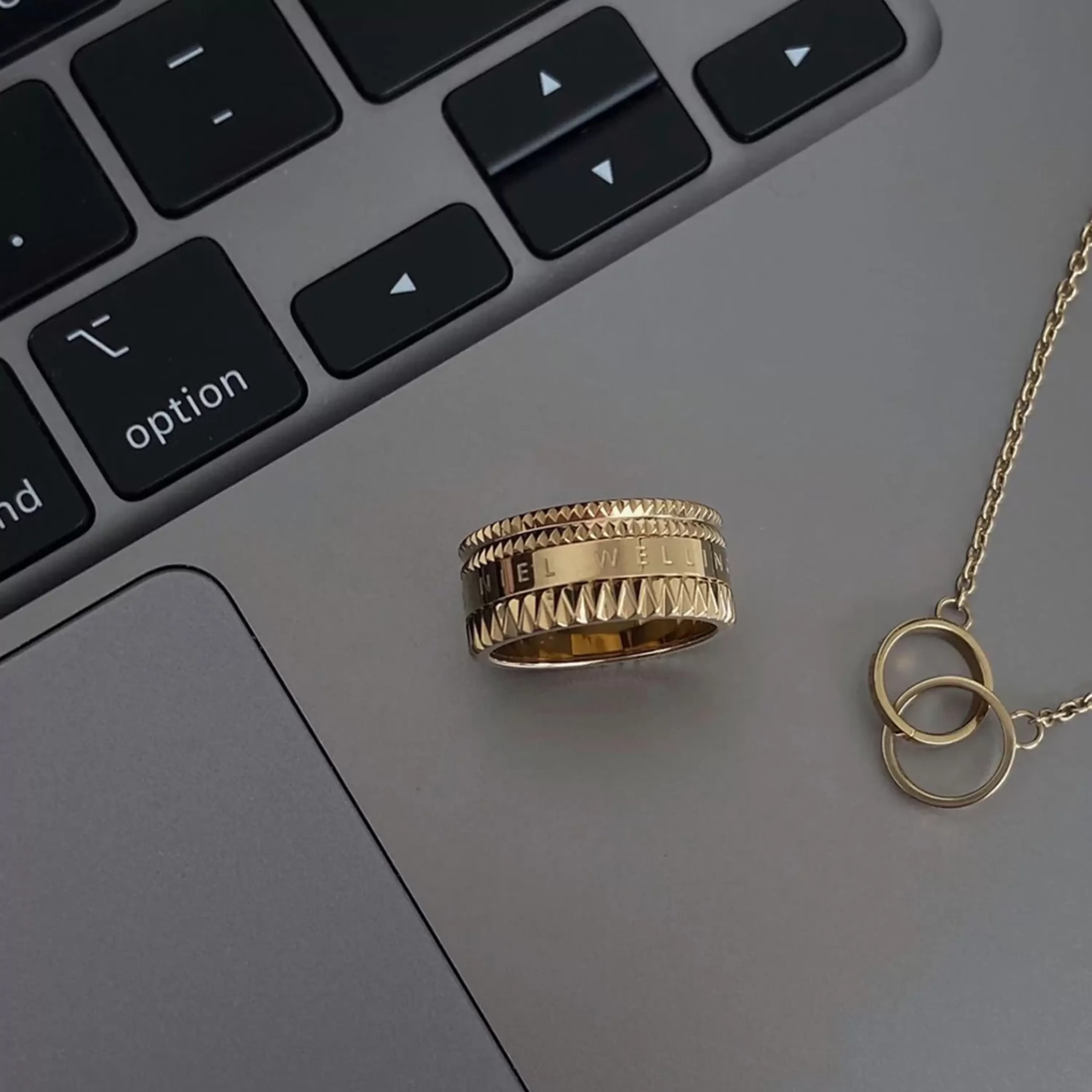 Daniel Wellington Ringe-Elevation Ring